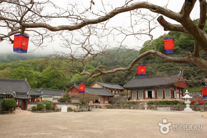 한국관광공사 제공
